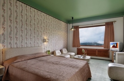 Hotel Honeymoon Inn Shimla Deluxe Room